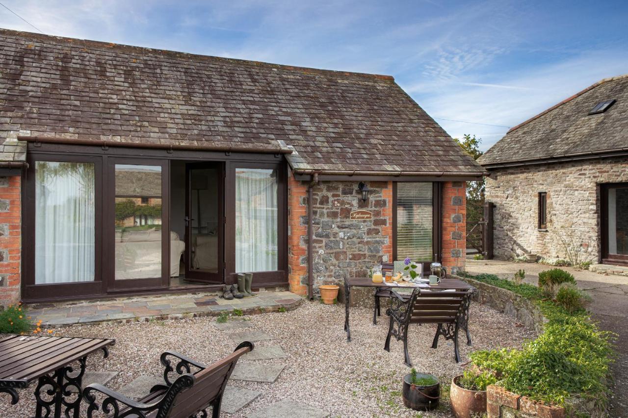Downe Cottages Hartland Exteriör bild
