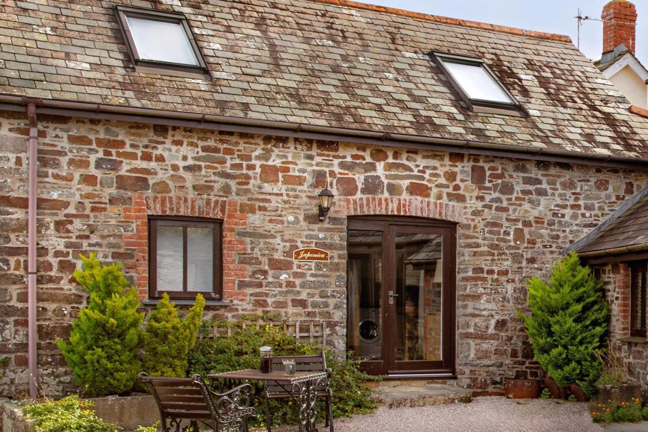 Downe Cottages Hartland Exteriör bild